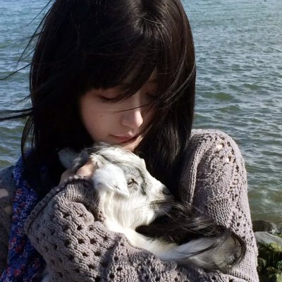 船只 海报
